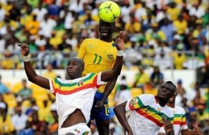 Aigles_Mali