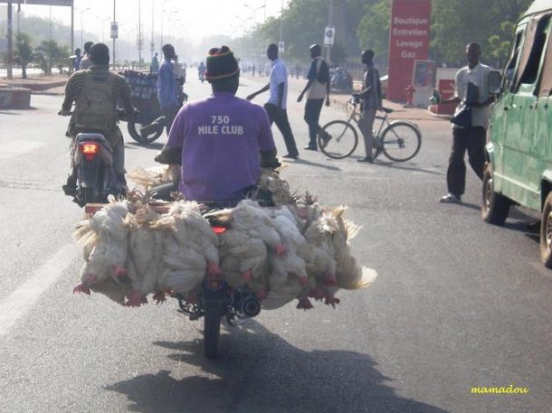 chicken-on-wheels
