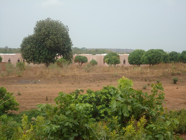 Forêt c lassée de Tienfala (photo L'Essor)