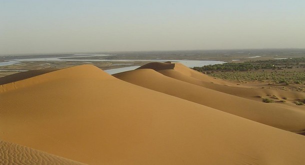 dune-rose-gao1