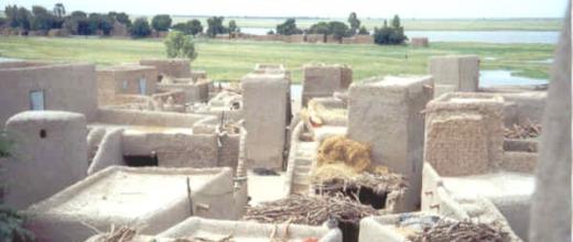 Paysages traditionnels d'un village bozo, près de Konna. Photo France24