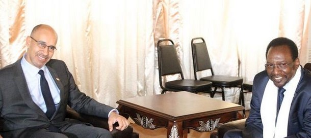 Le président malien Dioncounda Traoré et Harlem Désir se sont rencontrés à Bamako.