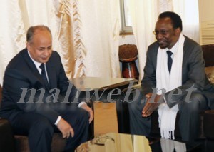 Bert Koenders reçu par le président Dioncounda Traoré