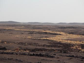 Région de Tessalit, au nord-est du Mali. RFI