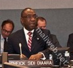Cheick  Sidi Diarra