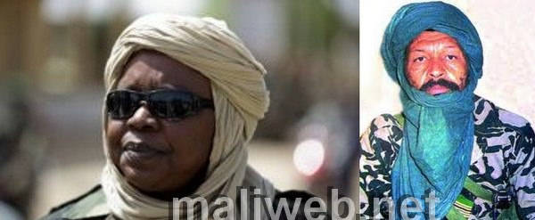 Les Lieutenant-colonelsNema Sagara et Gamou