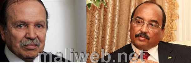 Abdel Aziz  Bout