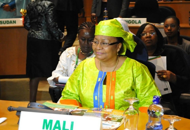 Sélection d'images du séjour du Président de la République à Addis-Abeba, du 28 au 31 janvier 2014