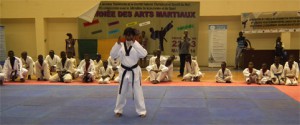 arts martiaux