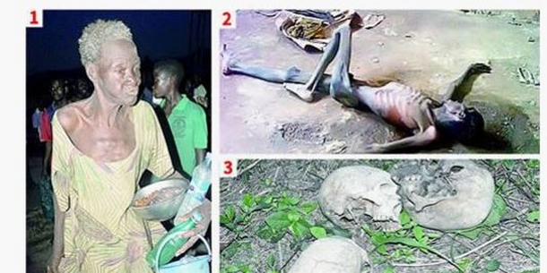 Capture d'écran du site du journal "Sunday Tribune". | Sunday Tribune