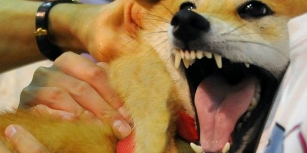 Rage