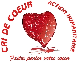 Communiqué du Collectif Cri de Cœur sur la situation au Nord du Mali