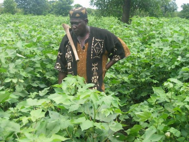 Bakary Togola : Un paysan modèle qui a fait ses preuves, victime d’une cabale