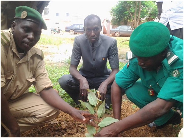 Opération dix mille plants pour ma commune : Honorable Amadou Thiam donne le ton !