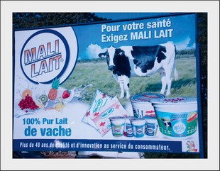 Mali-lait