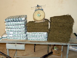 Trafic de drogue au Mali : Le commissariat de police de Bougouni démantèle un réseau de production d'herbe de cannabis   