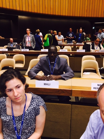 Conférence internationale du travail du BIT à Genève :  Le Mali y est représenté par quatre délégués