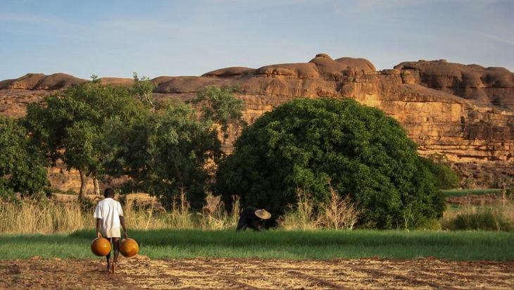 Engrais frelatés au Mali: les consommateurs montent au créneau