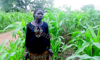 L'une des bénéficiaires du projet, Sata Mariko, productrice à Foulaboula, Bougouni