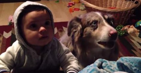 [ Video] Elle essaie de faire parler son bébé, c'est le chien qui répond