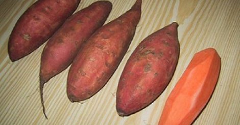 Patate douce