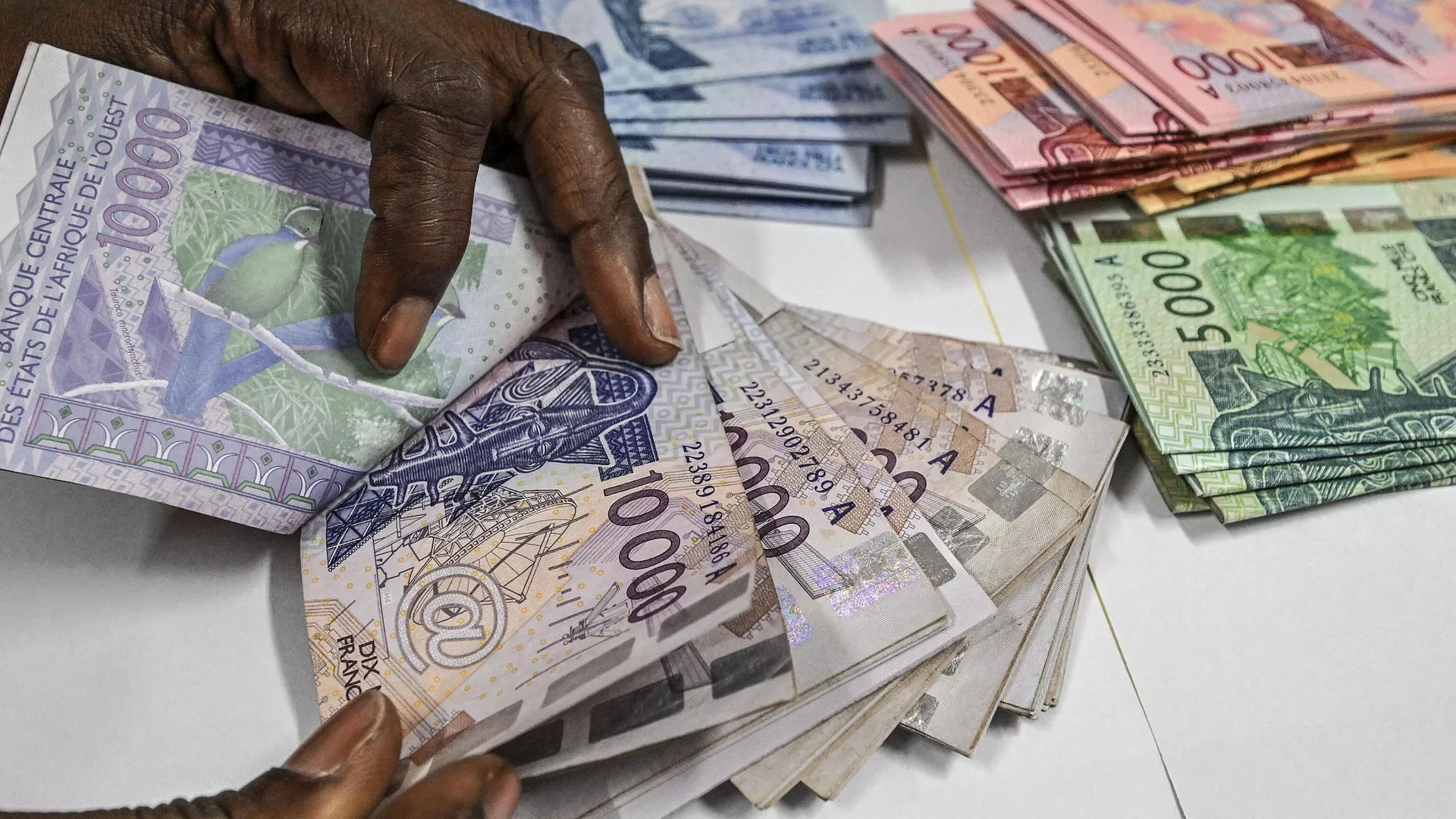 La France accusée de financer le terrorisme via le franc CFA