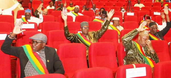 Mali. Le CNT adopte à l’unanimité la révision de la Charte de la Transition