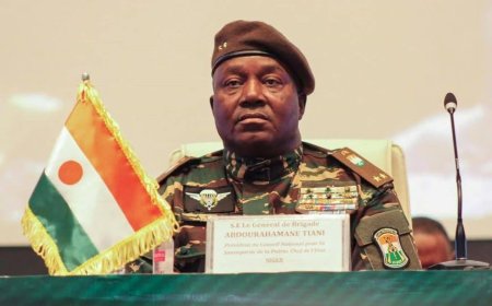 Niamey dénonce un « vaste réseau » piloté par la France