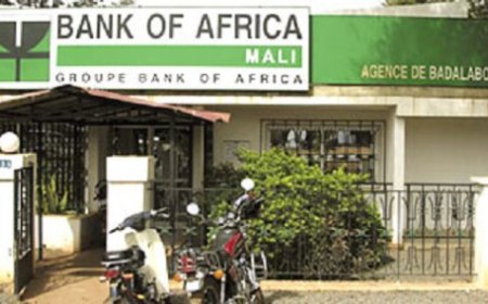 Bilan 2024 des six filiales BOA cotées à la BRVM : Des résultats satisfaisants, malgré le contexte régional