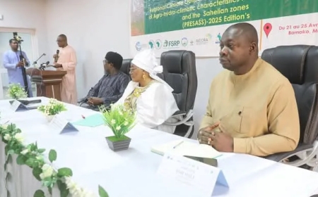 Pré-forum 2025 Sahel-Afrique de l’Ouest : Les acteurs du climat s'accordent sur les prévisions de l’année