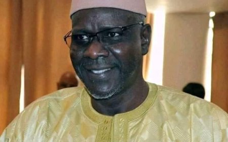 Le ministre Youba Ba dans Mali Kura Taasira 3 : «Nos animaux se portent bien…»