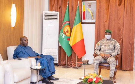 Le nouveau vice-président de la BOAD, Abdoulaye Daffé, reçu par Assimi Goïta : "J'exprime toute ma gratitude au président de la Transition pour la confiance placée en ma modeste personne"