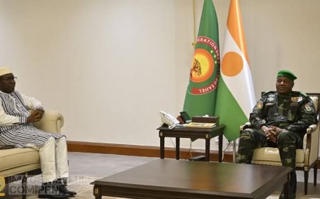 Niger et Mali : Une Rencontre Stratégique pour Booster la Coopération Minière !