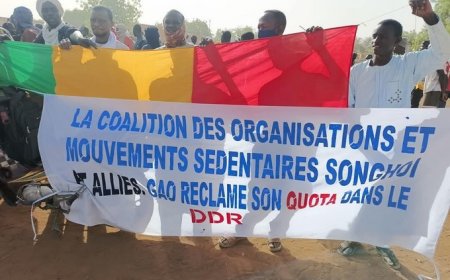 La  COMSSA  revendique son quota de DDR et dénonce le comportement des autorités régionales et communales de Gao