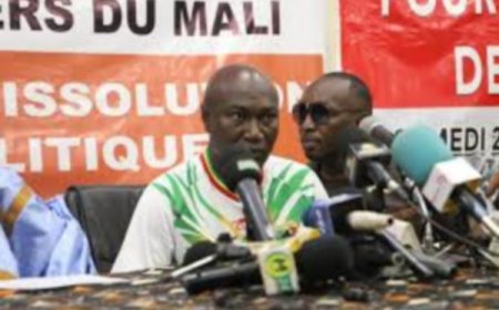 Pour la dissolution de tous les partis politiques Des jeunes leaders soutiennent la Transition