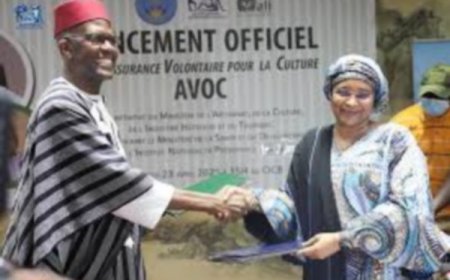 Assurance volontaire pour la culture (AVOC) : Un bouclier important pour les acteurs culturels maliens