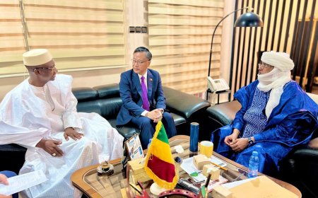 Mali : L’ambassade  de la chine fait don de 2 millions de dollars américain contre  l’insécurité alimentaire