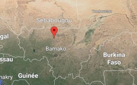 Mali : opération militaire d’envergure à Sébabougou