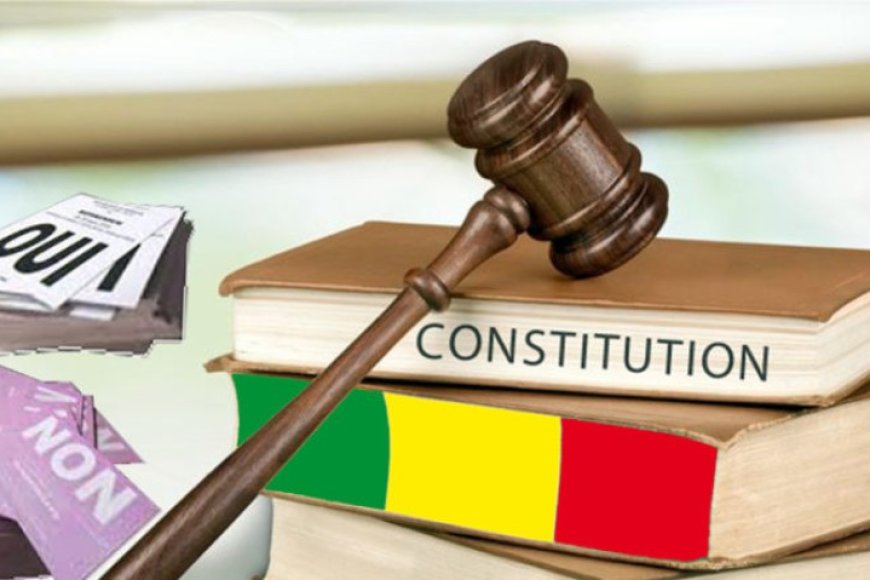 Mali / question de droit : la loi, la constitution explique. La constitution a examiné la loi.