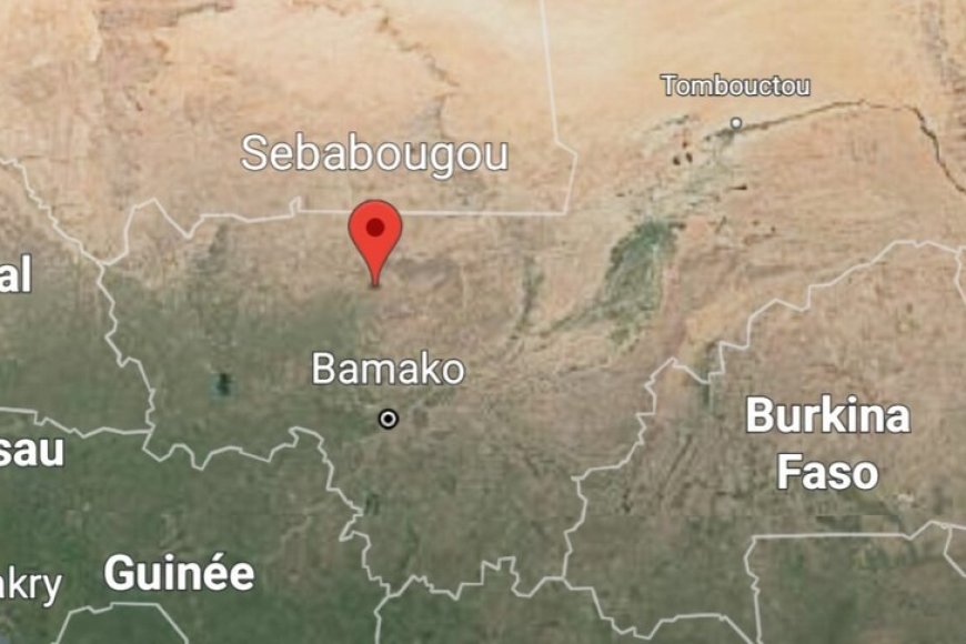 Mali : opération militaire d’envergure à Sébabougou