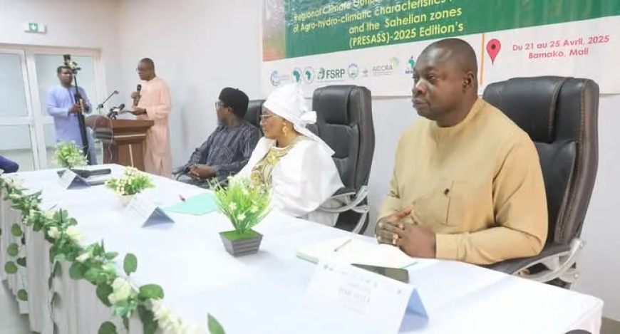 Pré-forum 2025 Sahel-Afrique de l’Ouest : Les acteurs du climat s'accordent sur les prévisions de l’année