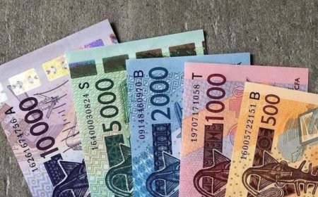 La rupture avec le franc CFA sera le "début d'une Afrique qui dit 'assez' à la domination monétaire"