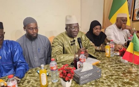 Recueil 2025 des attentes des besoins  et des problèmes de la société : Le Césec à l'écoute de nos compatriotes établis aux Emirats Arabes Unis