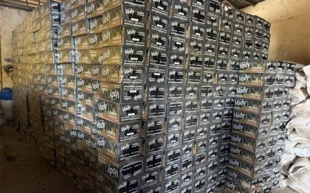 Lutte contre la fraude et les trafics illicites : Double coups de filet de la direction du renseignement et de la lutte contre la fraude