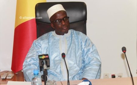 Samba A. Baby nommé ambassadeur du Mali en Egypte : Le couronnement d'une carrière exemplaire