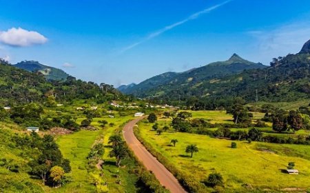 Pole pénal économique et financier de cote d'ivoire : Cinq agences de voyage poursuivies pour  "blanchiment de capitaux et fraude fiscale" !