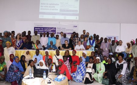 Régions de Bandiagara et Mopti :   les  Volets Sécurité Alimentaire et Nutrition du projet  CARE  dévoilés  au public