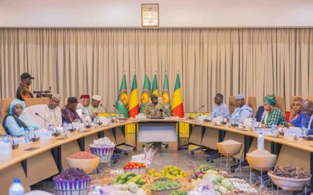 15e session du CSA : le Mali fixe les priorités agricoles pour 2025 et annonce les nouveaux prix des intrants