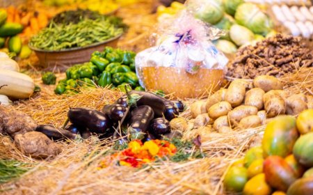 Campagne agricole 2025: pas de changement de prix pour l'engrais et le prix du coton graine