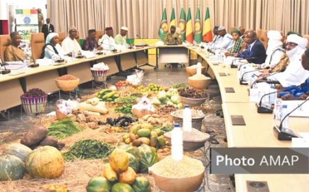 Campagne agricole 2025 : Tout est vert